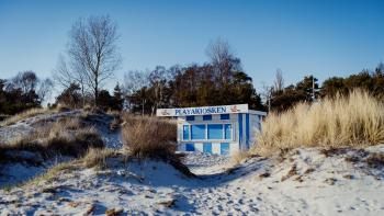 A colour photo of a beach kiosk, among the sand dunes on a beach. There's dry grass, and trees in the background. The kiosk is closed and borded up.